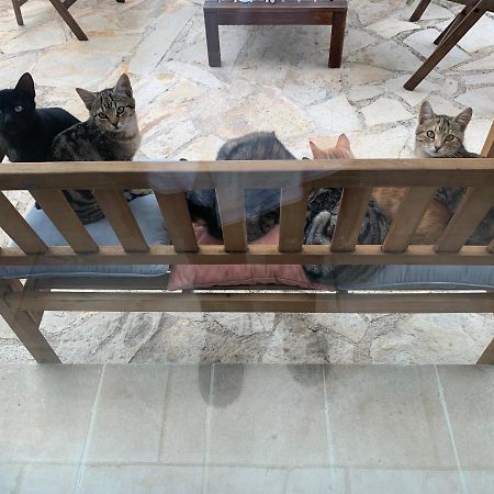 Villa Moresca Dei Trulli Fernando Ostuni Zewnętrze zdjęcie