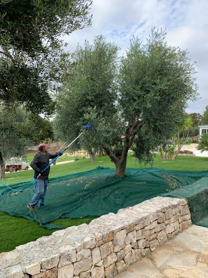 Villa Moresca Dei Trulli Fernando Ostuni Zewnętrze zdjęcie